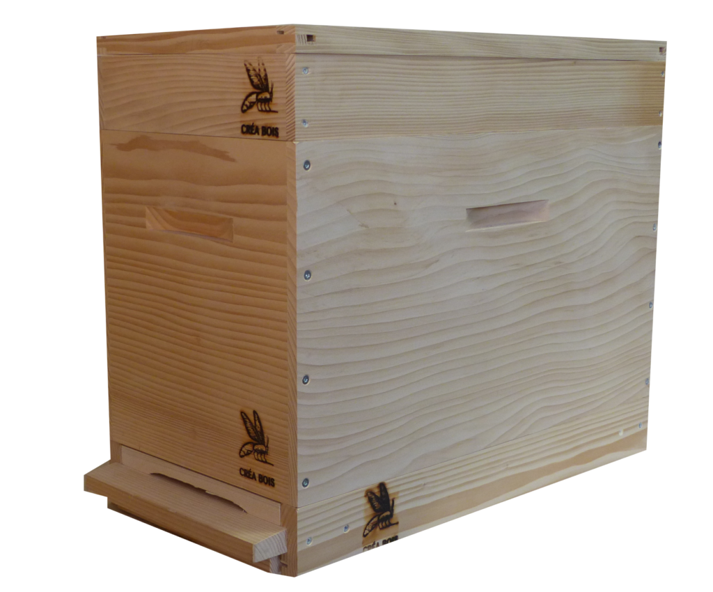 RUCHE ALSACIENNE HAUTE 12 C - 2 CORPS